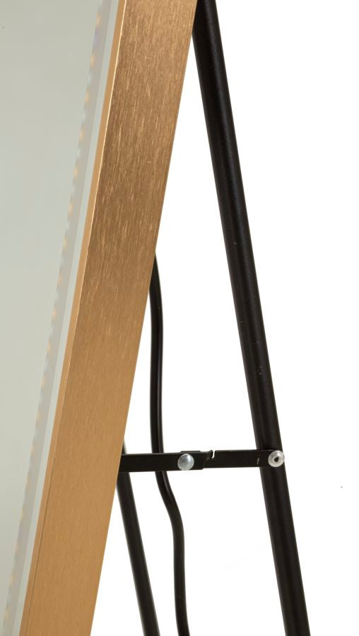LED Vloerspiegel Modern Rechthoekig Goud 160x50x3 cm