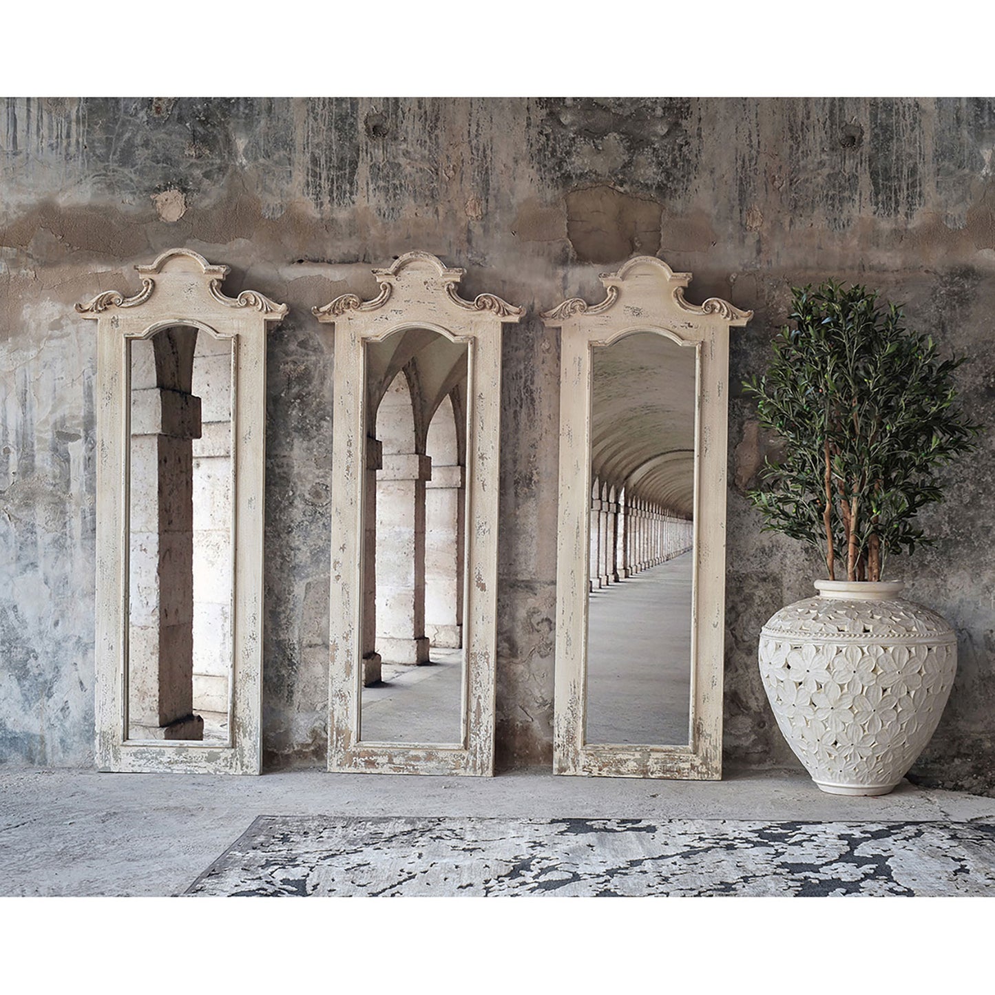 Olivo Plant Shabby Chic 60x60x190 cm