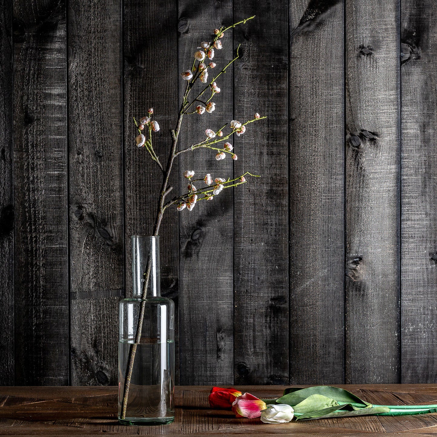 Tulpenbloem Wit 0x0x64 cm