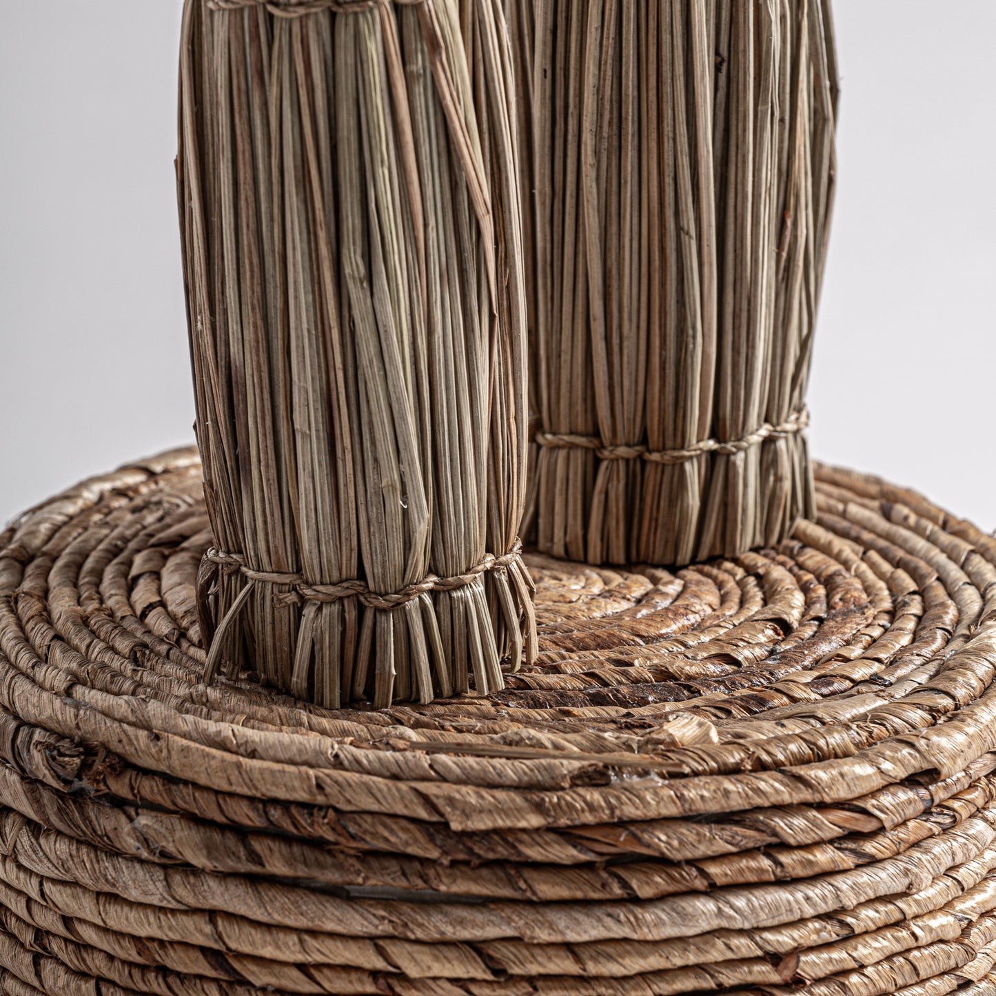 Areca Plant Boho 100x100x250 cm