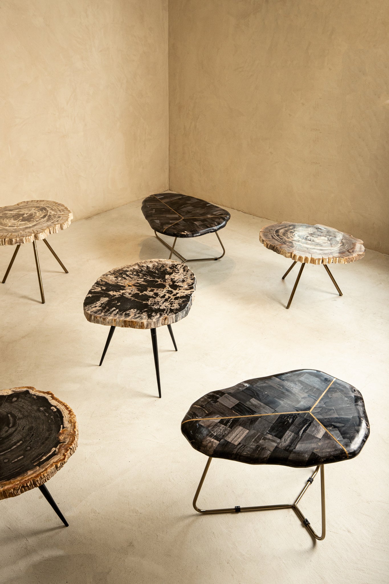 New Khine Petrified Wood Coffee Table Brass SV3