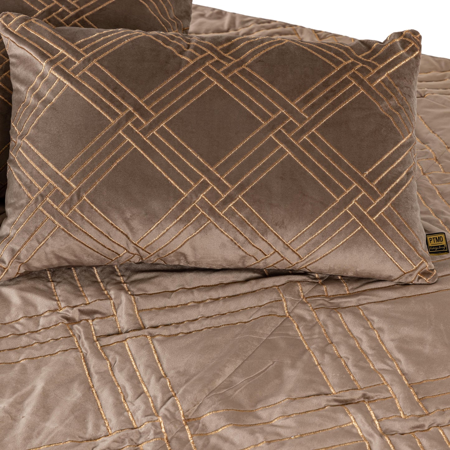 Cerine Brown Fluwelen Kussen Geborduurde Vierkant Set van 2 45x45x3 cm