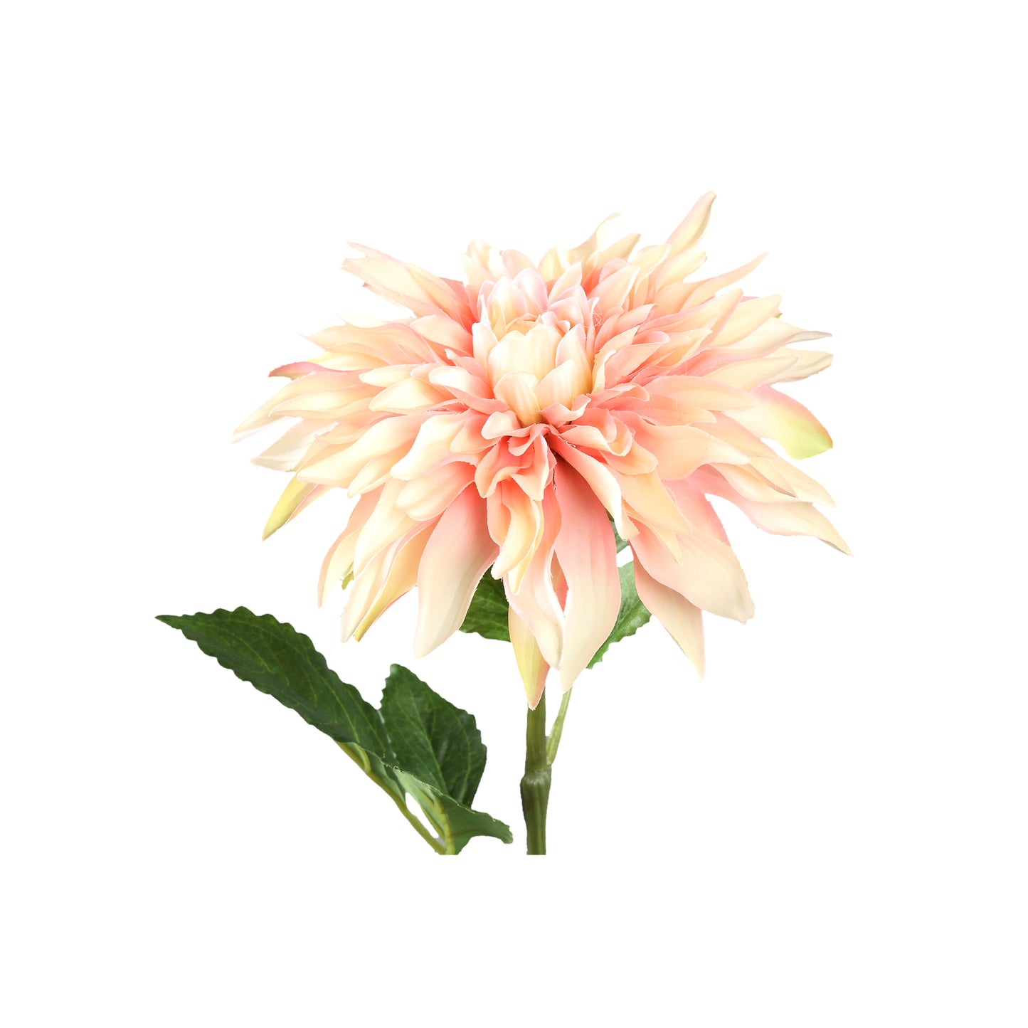 Dahlia Bloem Crème Spray Met Bladeren - Set van 12 70x28x19 cm