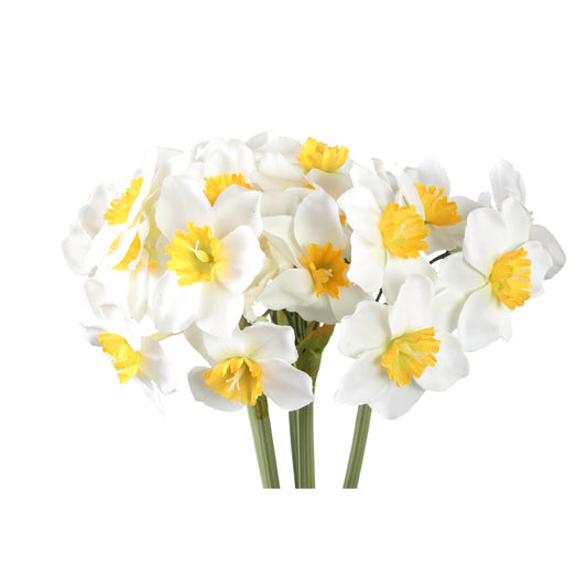 Garden Flower Witte Narcis Set Van 12 Stuks - 12 Sets 41x10x20 cm