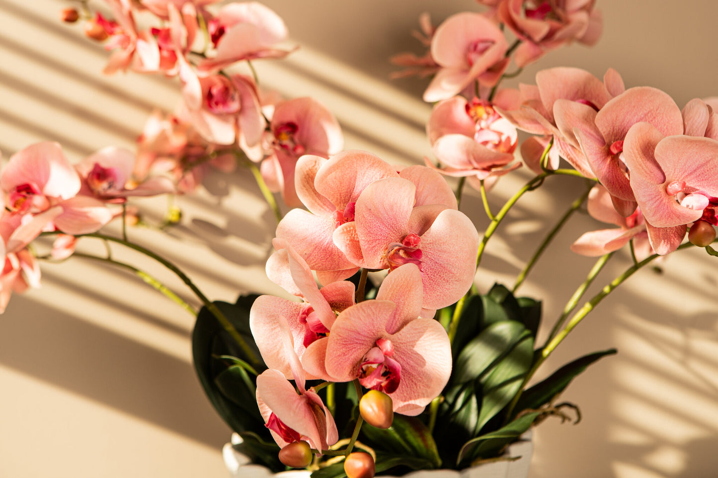 Orchid Flower Roze Phalaenopsis Spray Set van 6 Stuks 72x33x14 cm