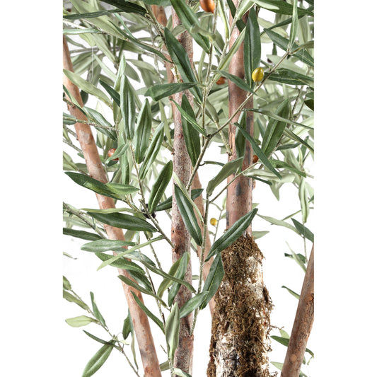Tree Groene Olijfboom In Kunststof Pot 265x140x140 cm