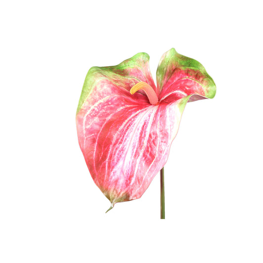 Garden Flower Rode Groene Anthurium Set Van 12 Stuks - 12 Sets 85x33x23 cm
