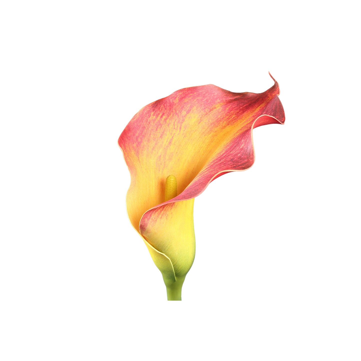 Lily Flower Oranje Gele Calla Lily Spray - Set van 12 Stuks - 12 Sets 82x16x13 cm