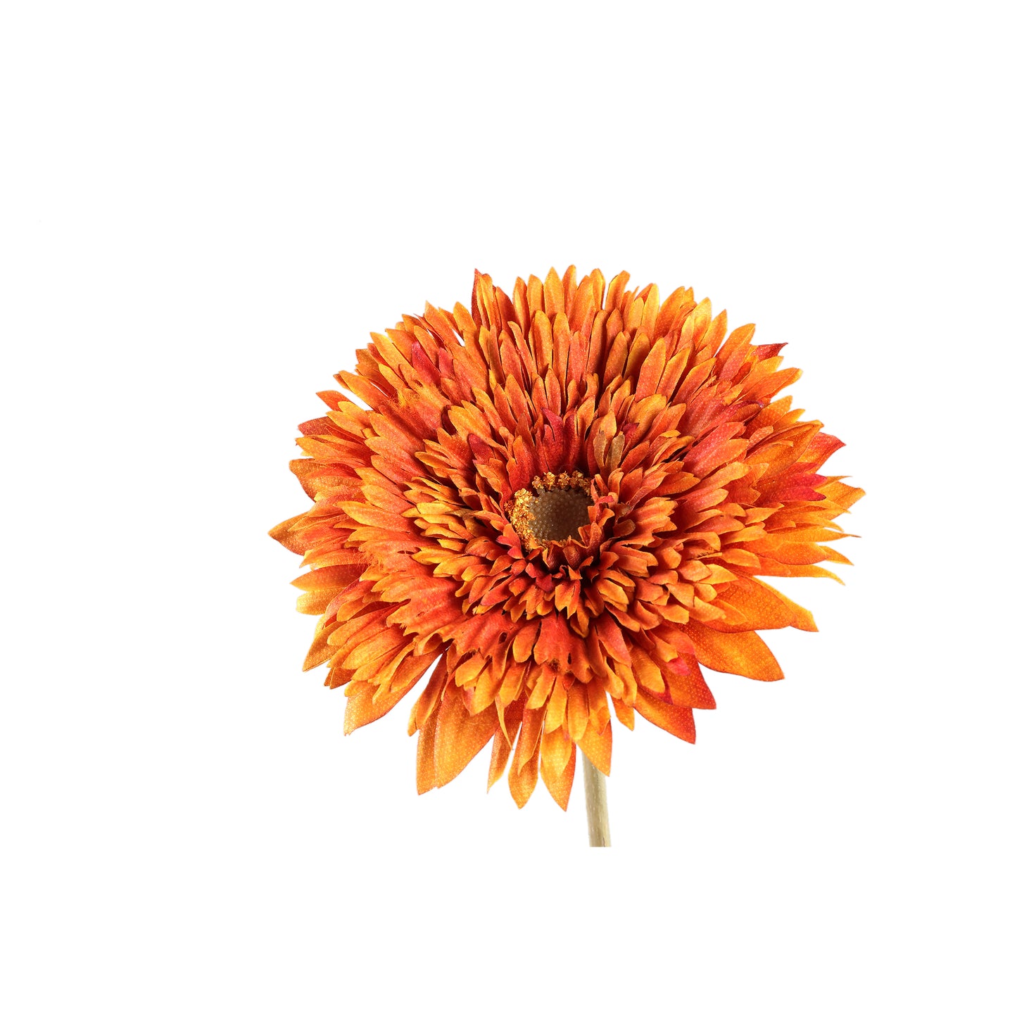 Gerbera Bloem Oranje Stengel Set van 12 Stuks - 12 Sets 64x5x14 cm