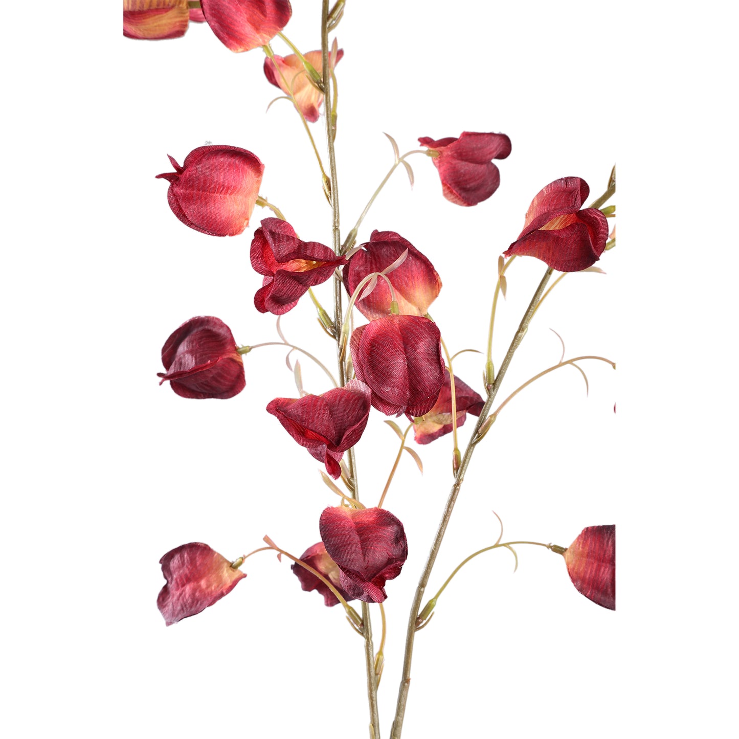 Twig Plant Rood En Oranje Lantaarn Spray - Set van 12 96x47x20 cm