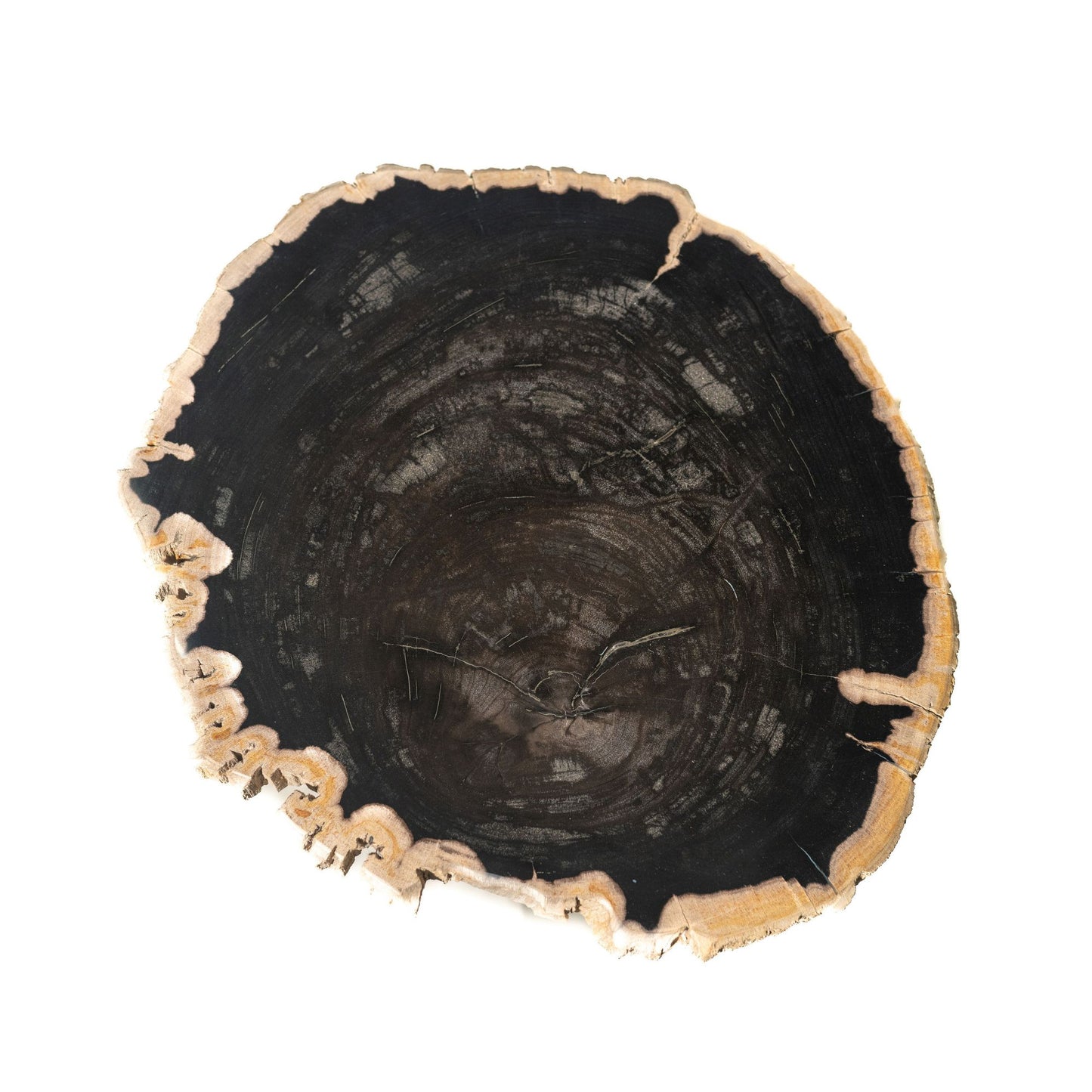 Jisse Zwarte Bijzettafel met Versteend Hout en Gedraaide Basis 53x30x35 cm