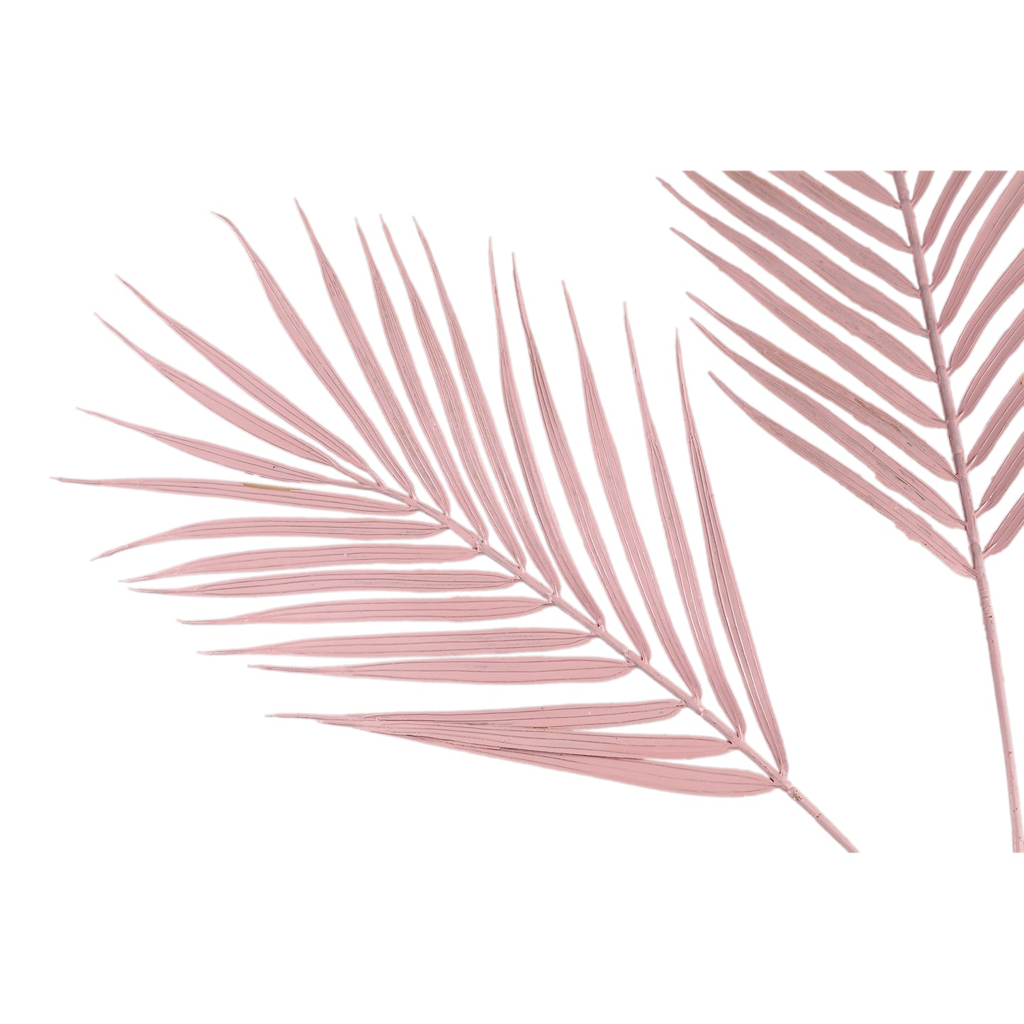 Leaves Plant Roze Varenverspray - Set van 12 105x60x60 cm