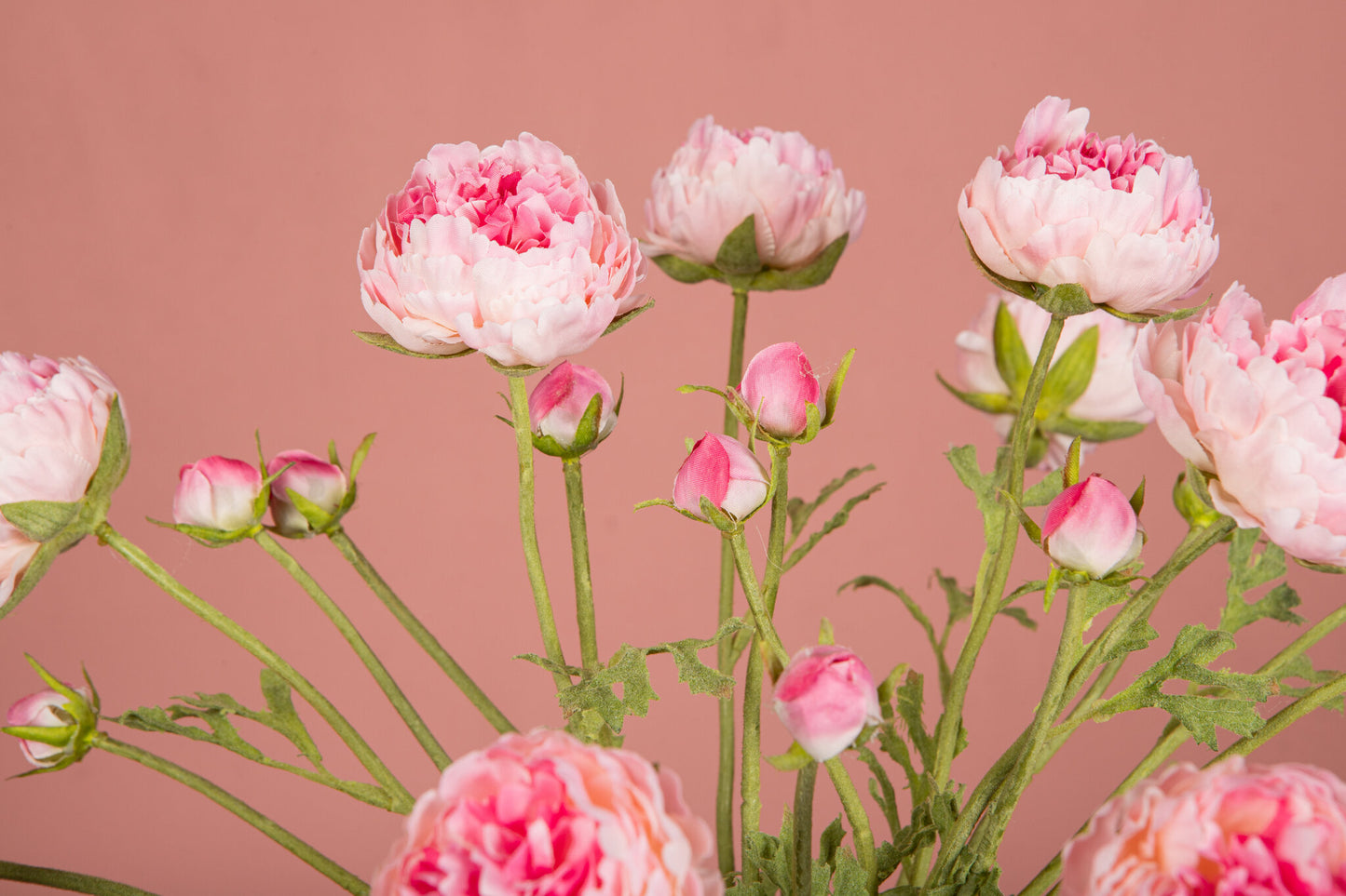 Ranonkel Flower Roze Spray Met Knop En Bladeren - Set van 12 39x23x13 cm
