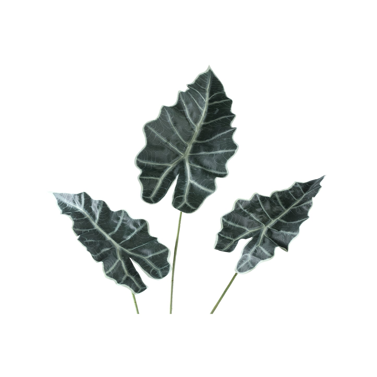 Leaves Plant Groene Alocasia Bladeren Spray - Set van 12 111x53x52 cm