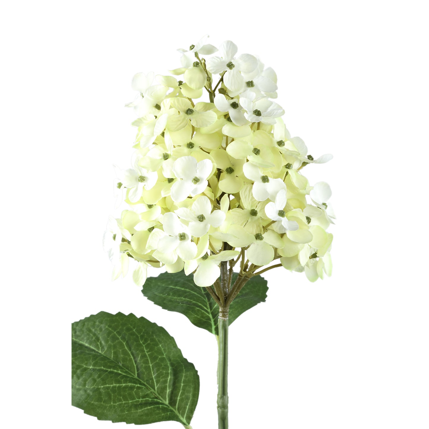 Hydrangea Bloem Groene Hortensia Tak - Set van 12 68x30x26 cm
