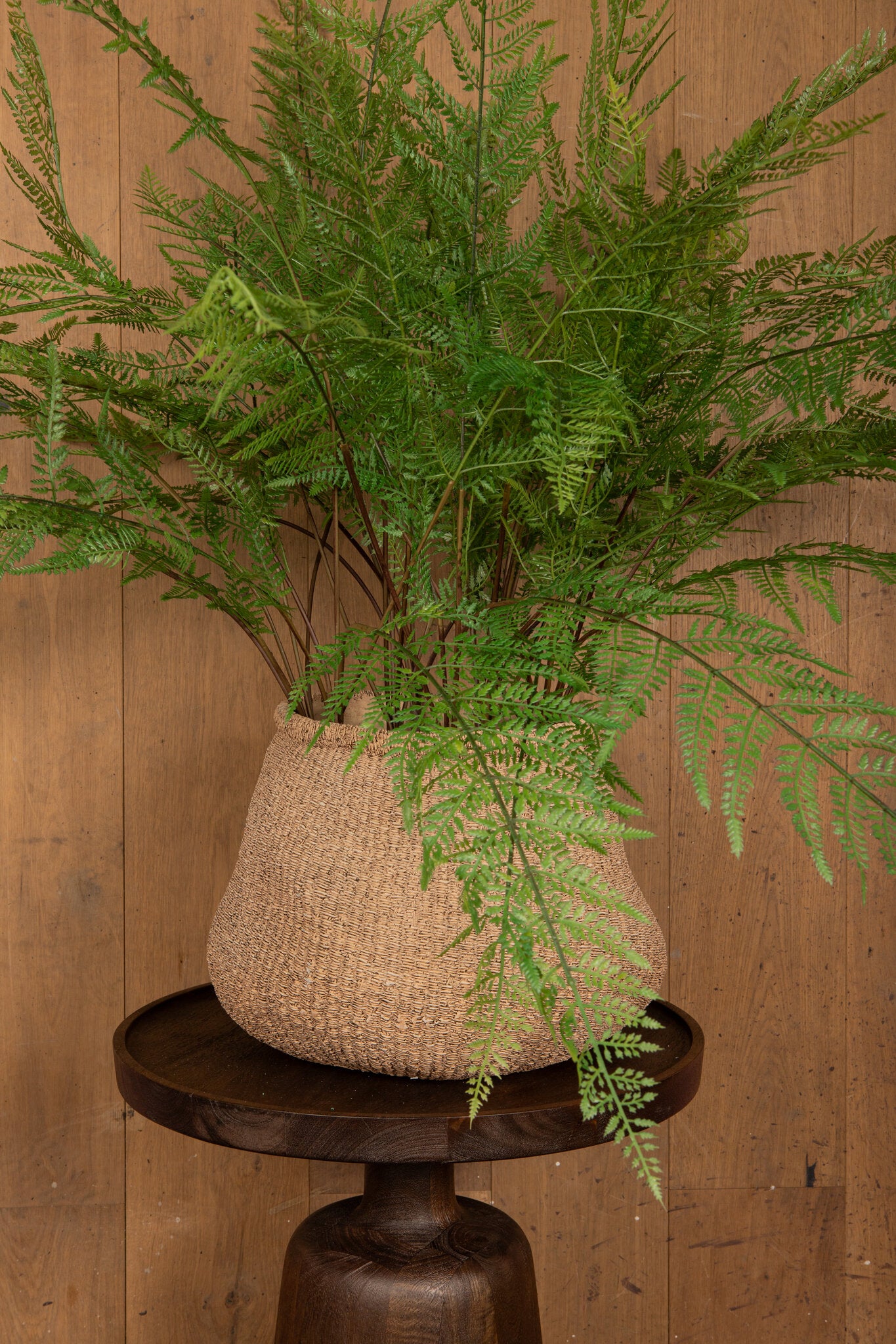 Fern Plant Groene Varenbos Lang - Set van 6 Stuks 96.5x81x53 cm