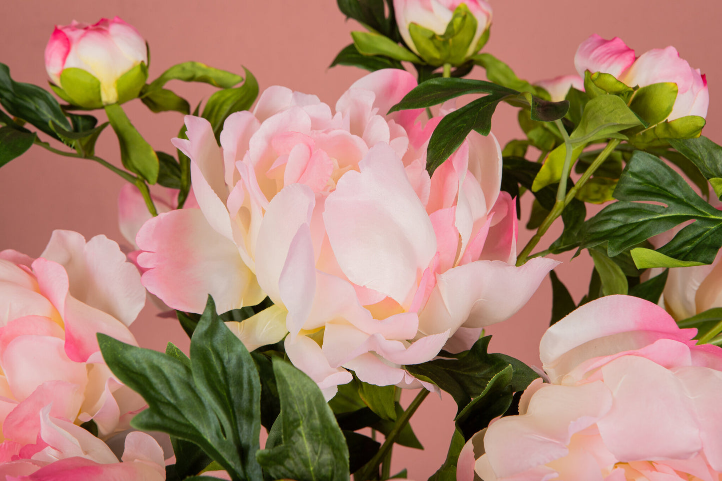 Pioenrozen Bloem Roze Pioenroos Met Knop - Set van 12 65x33x30 cm