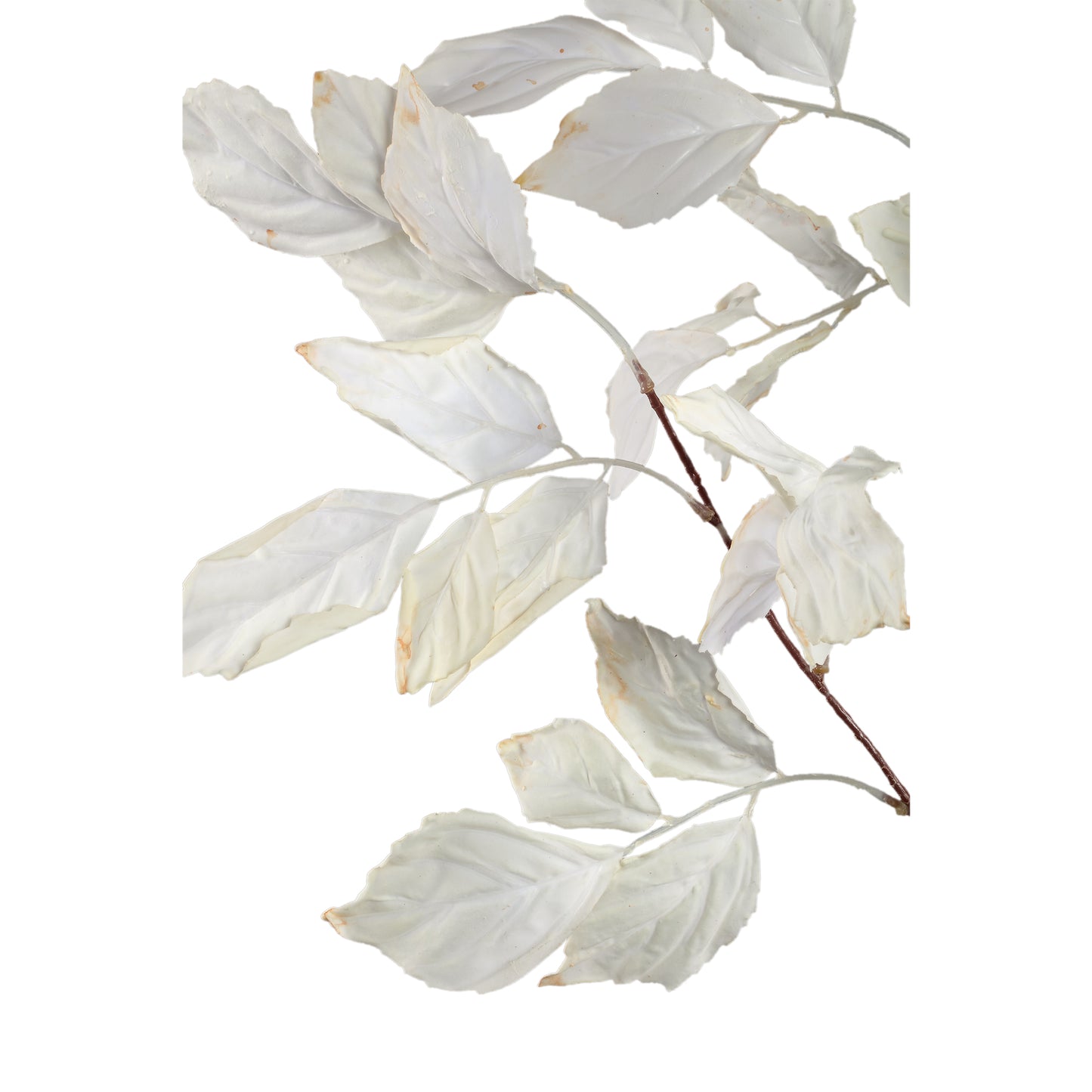 Leaves Plant Crème Bladeren Spray - Set van 12 105x65x40 cm