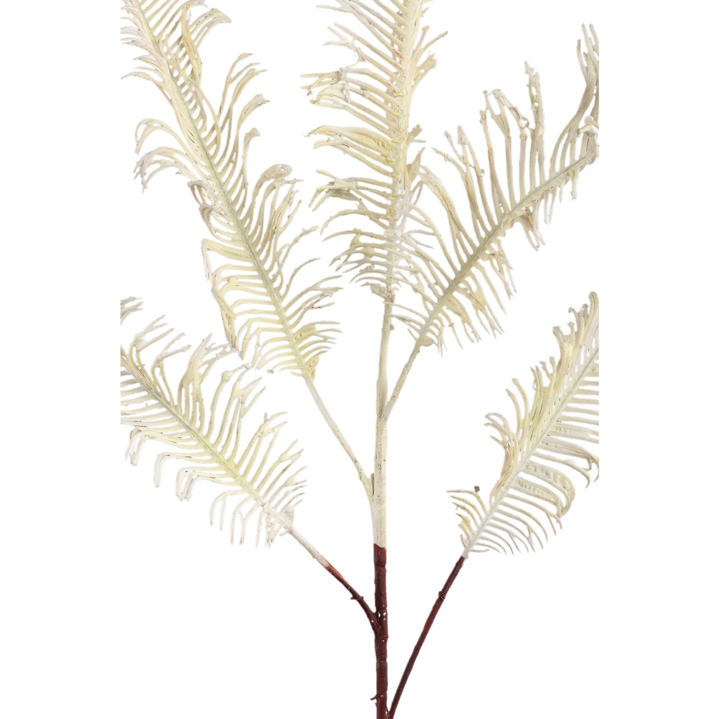 Leaves Plant Crème Varen Spray - Set van 12 85x50x50 cm