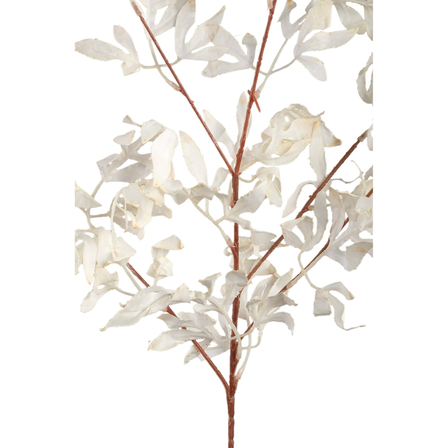 Leaves Plant Crème Bamboe Bladspray - Set van 12 80x47x45 cm