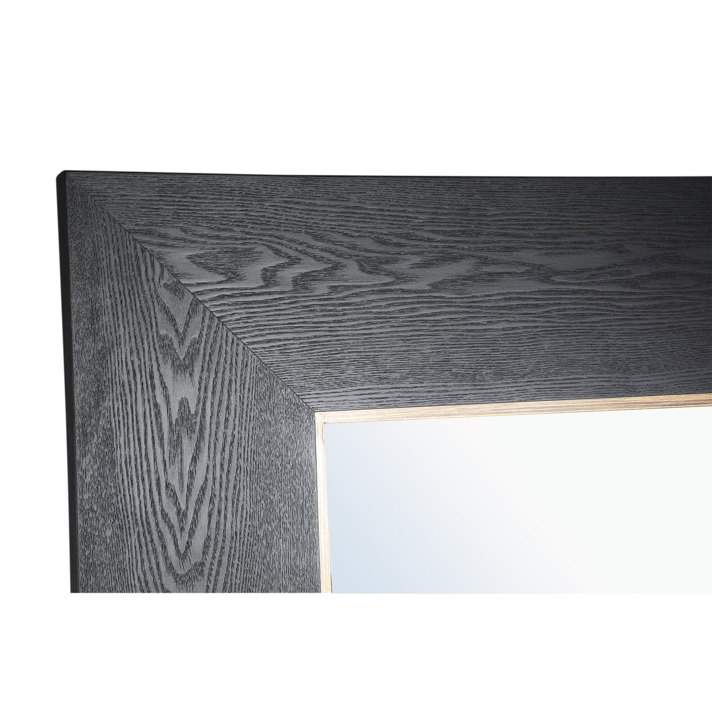 Tiess Zwarte Houten Fineer Spiegel Rechthoekig Gouden Rand S 168x96x4 cm