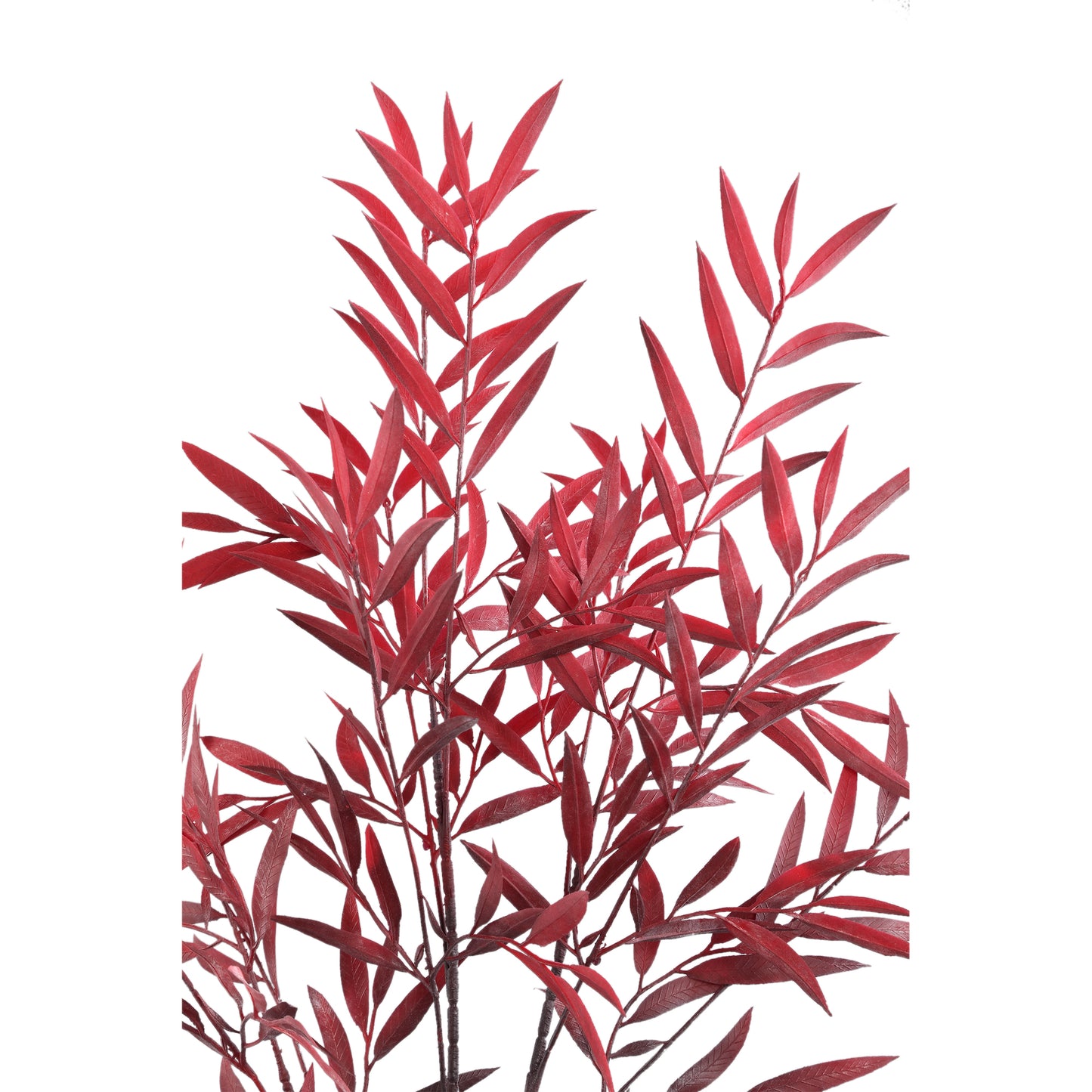 Leaves Plant Rode Myrica Gagel Struik, Set van 12 Stuks - 12 Sets 2x107x8 cm