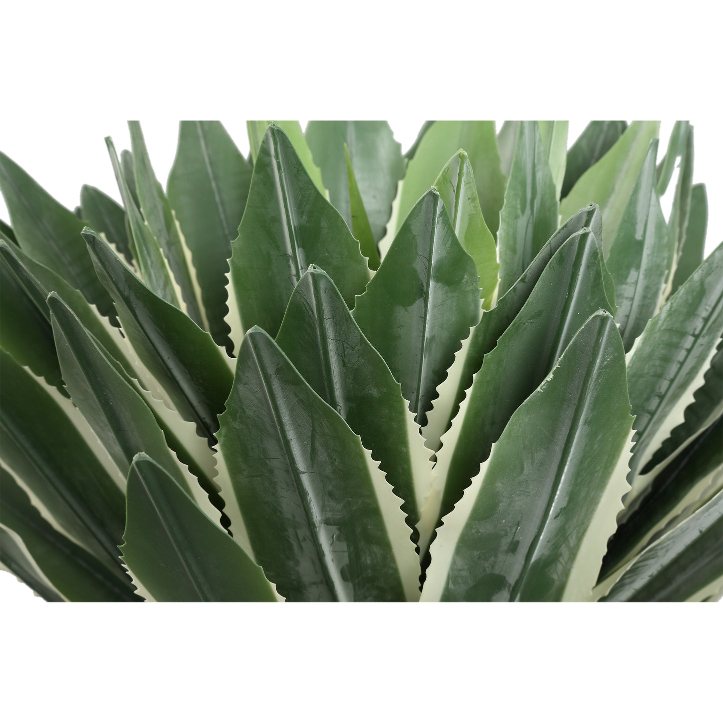 Succulent Plant Groene Agave Pick 50x70x70 cm