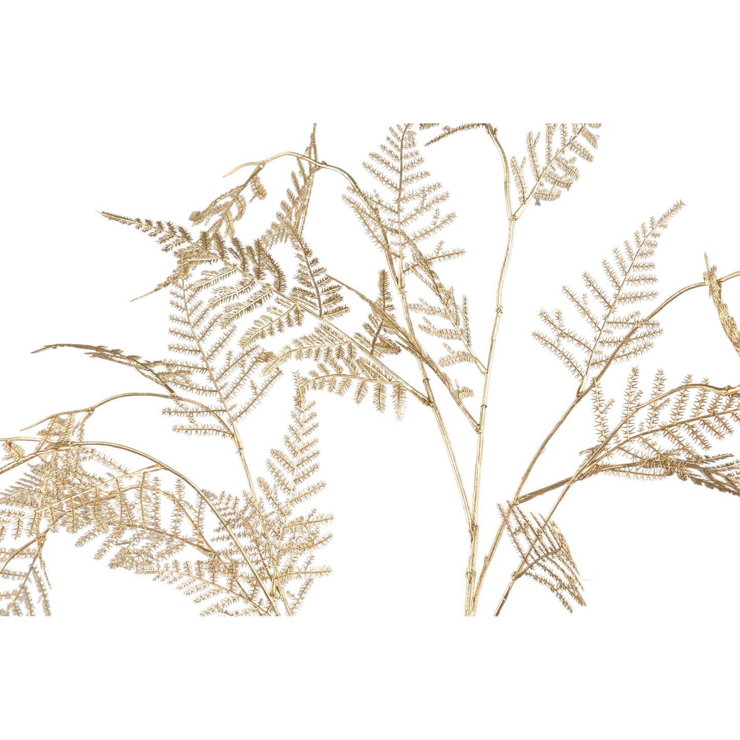 Fern Plant Gouden Asparagus Spray - Set van 12 114x45x23 cm