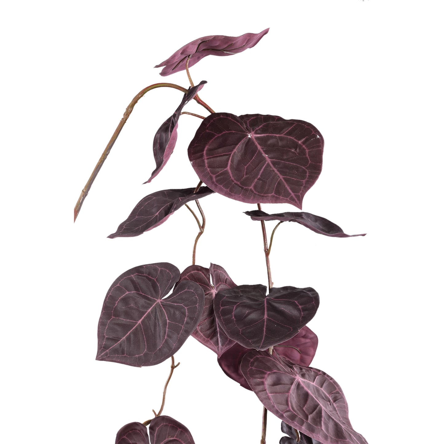 Leaves Plant Paarse Anthurium Hangend Spray Set van 6 Stuks - 6 Sets 170x108x26 cm