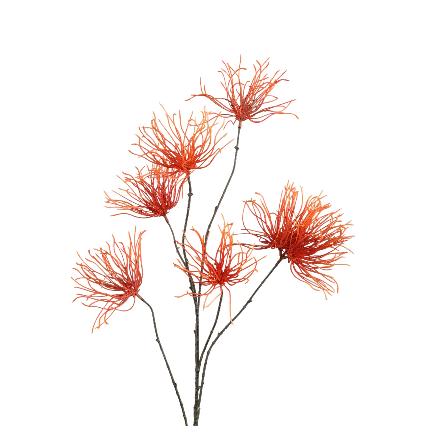 Twig Plant Oranje Grevillea Bloemenspray - Set van 12 112x60x39 cm