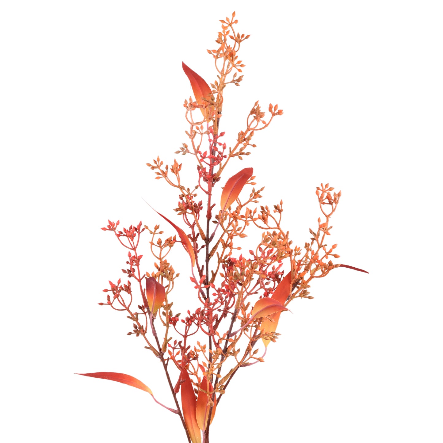 Leaves Plant Oranje Eucalyptus Spray Met Zaden - Set van 12 Stuks - 12 Sets 84x45x38 cm
