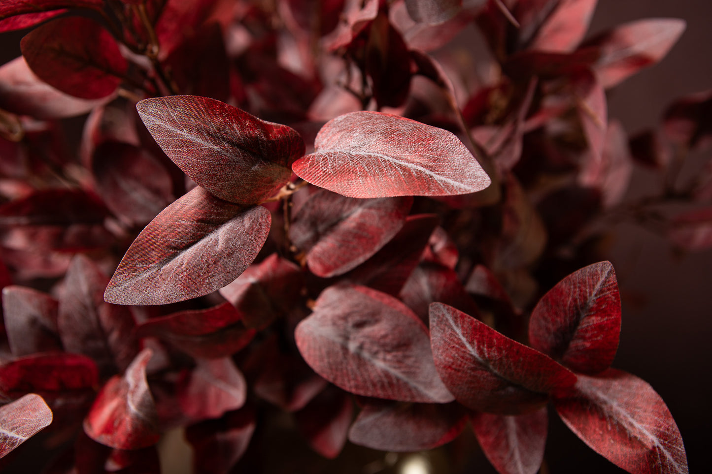 Leaves Plant Bourgondië Euphorbia Bladspray - Set van 12 70x40x32 cm