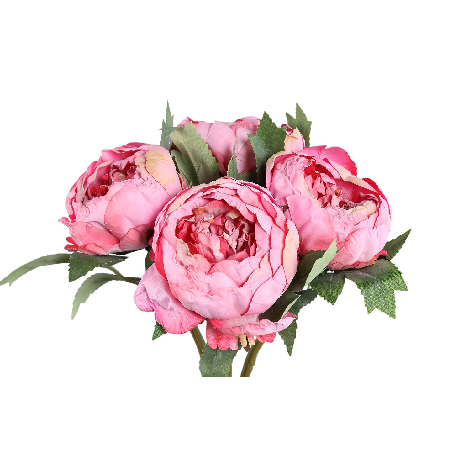 Peony Flower Donkerroze Pioenroos Struik - Set van 12 43x12x18 cm