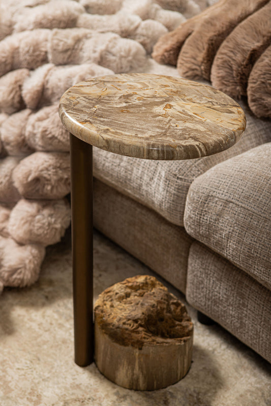 Ataja Natuurlijke Versteende Hout Bijzettafel Met Messing Poot 55x30x30 cm