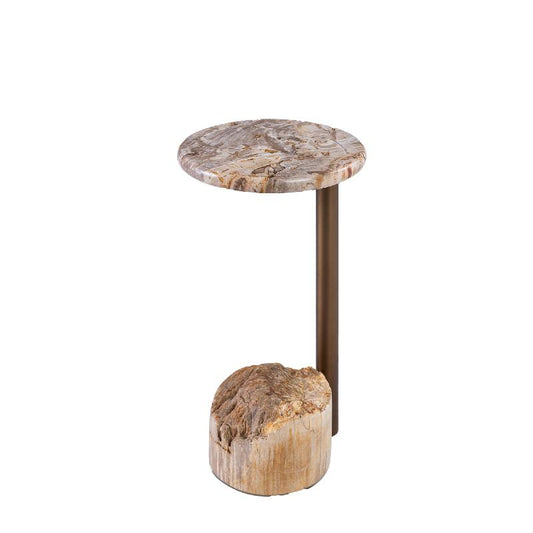 Ataja Natuurlijke Versteende Hout Bijzettafel Met Messing Poot 55x30x30 cm