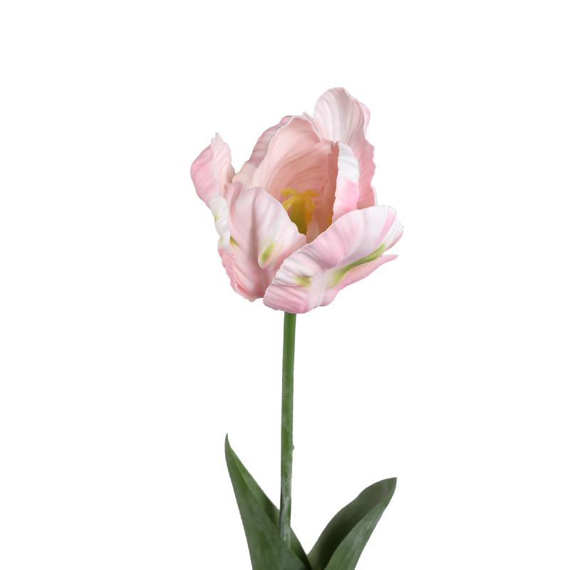 Tulip Flower Roze Papegaai Tulp Met Bladeren Set Van 12 Stuks 67x40x9 cm