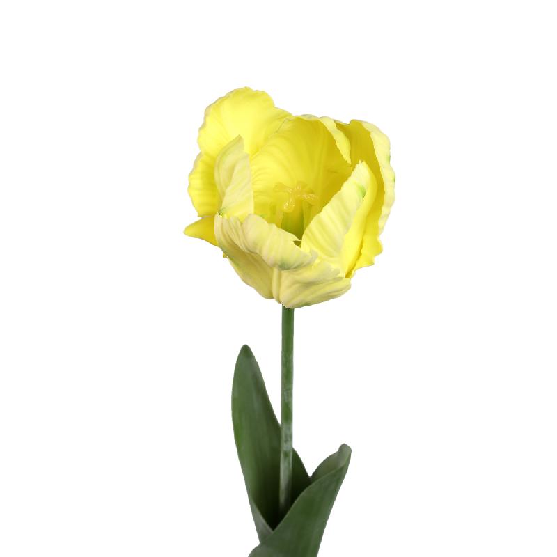 Tulp Bloem Gele Papegaaientulp Met Bladeren - Set van 12 67x40x9 cm