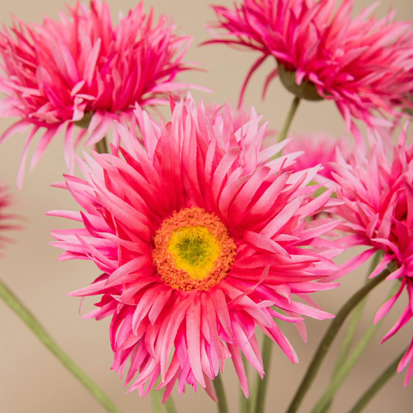Gerbera Bloem Felroze Kunstbloem - Set van 12 55x12x9 cm
