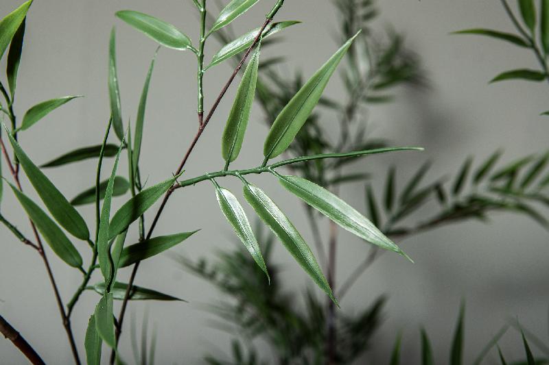 Grass Plant Groen Bamboe Spray - Set van 6 Stuks 180x143x57 cm