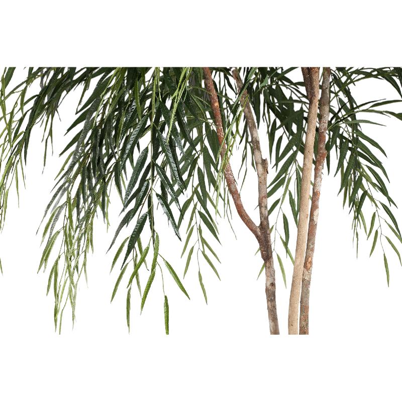 Tree Groen Ficus Alii In Zwarte Pot 200x100x100 cm
