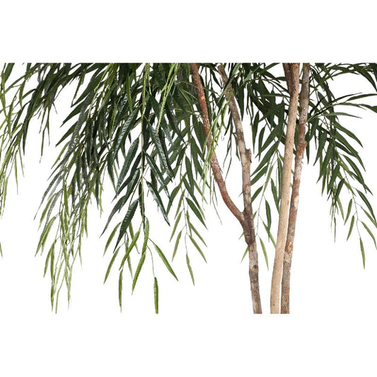 Tree Groen Ficus Alii In Zwarte Pot 200x100x100 cm