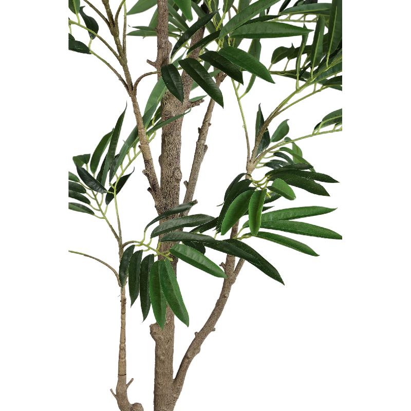 Tree Green Ficus Benjamina Plant In Zwarte Pot 185x110x110 cm