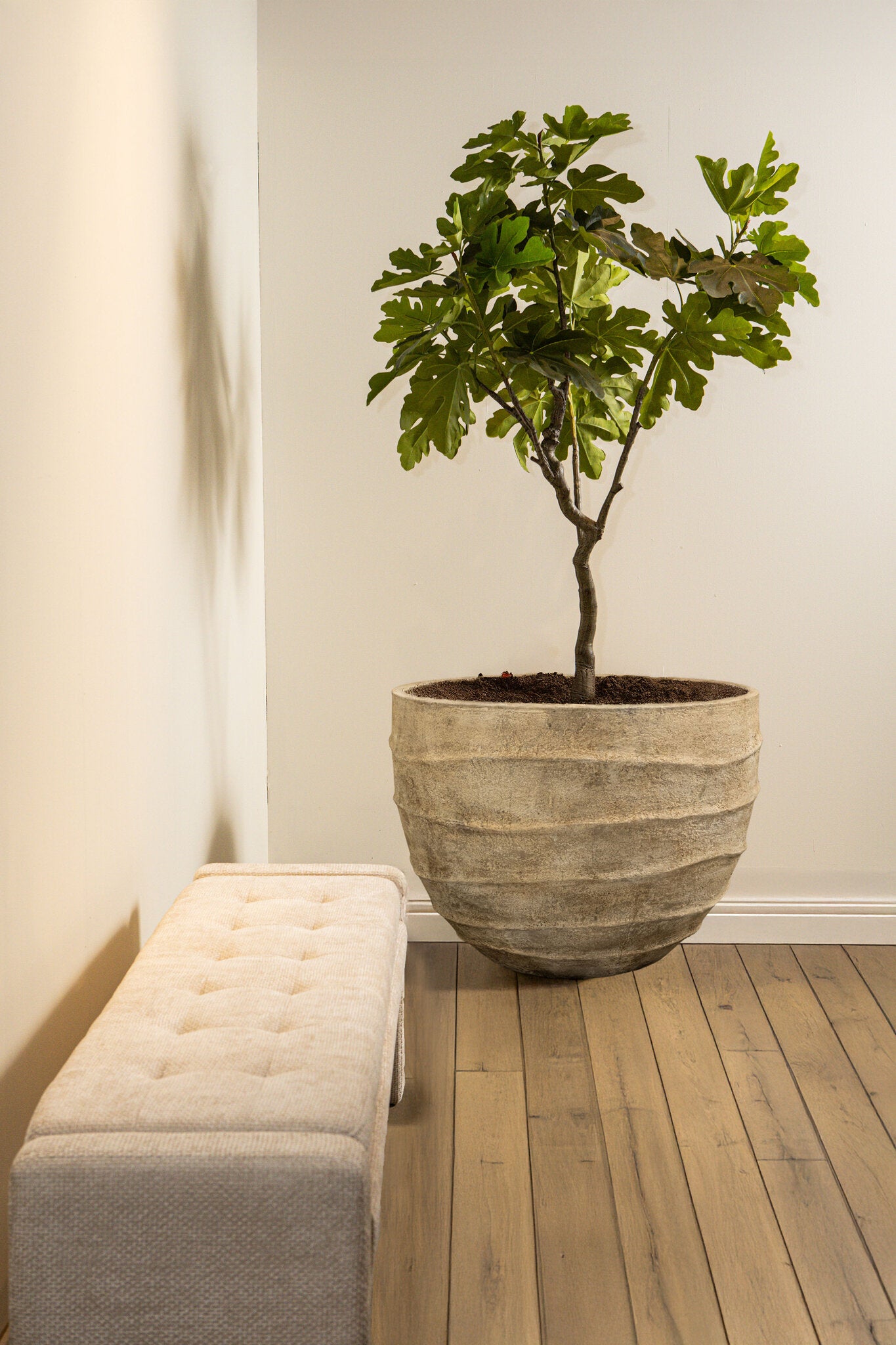 Ravi Beige Cement Bloempot Met Golfpatroon 60x80x80 cm