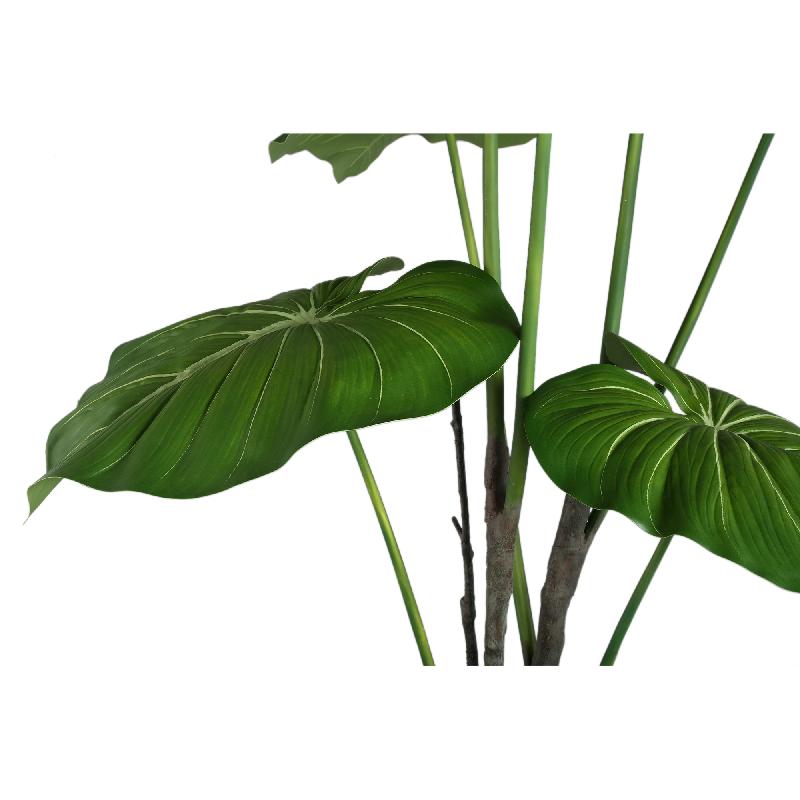 Leaves Plant Groene Philodendron In Zwarte Pot 178x90x90 cm