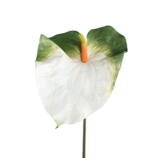 Garden Flower Witte Anthurium Bloem - Set van 12 85x24x33 cm