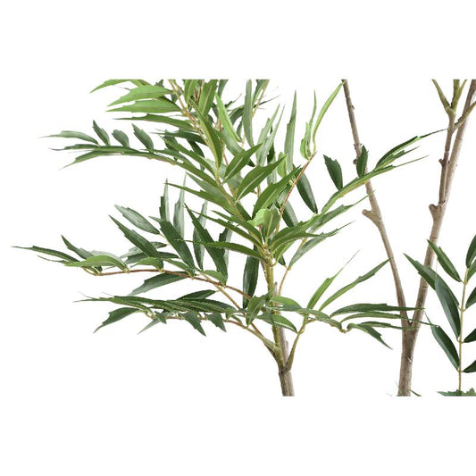 Tree Groen Mahonia Fortunei Boom in Zwarte Pot S 148x80x80 cm