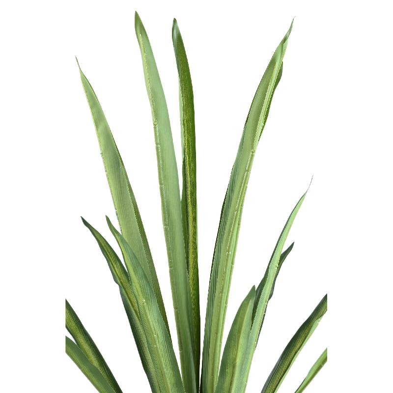 Leaves Plant Donkergroene Yucca Plant - Set van 4 Stuks 88x70x70 cm
