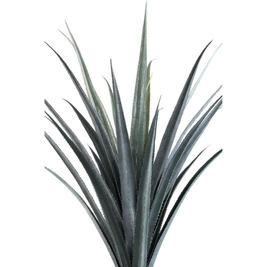 Leaves Plant Donkergroen Pandanus 180x110x110 cm