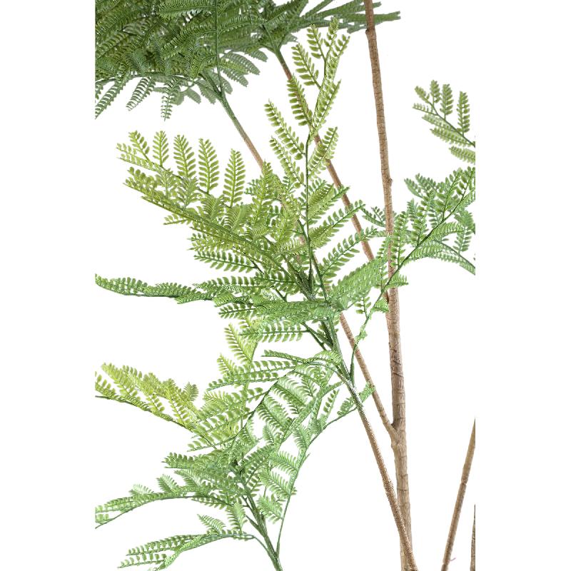 Fern Plant Groen Hoge Varen In Pot L 238x125x115 cm