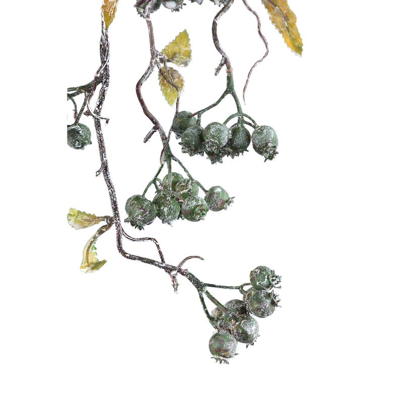 Berry Plant Rozebottel Bes Groen – Set van 12 stuks 145x98x50 cm